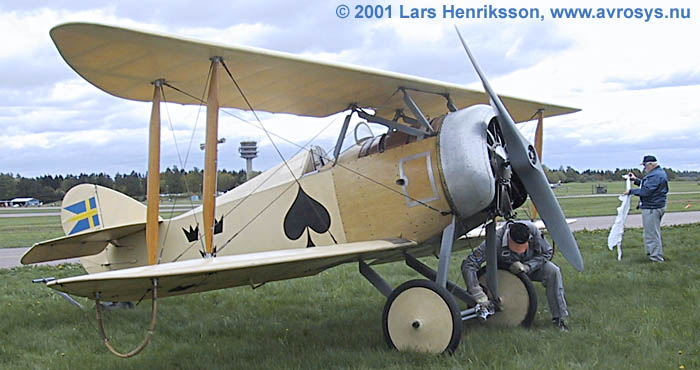 Swedish Army Aviation Display Group Four Aces (Fyra Ess), Tummelisa # 081 Ace of Spades (Spader Ess). Replica built and flown by Mikael Carlson