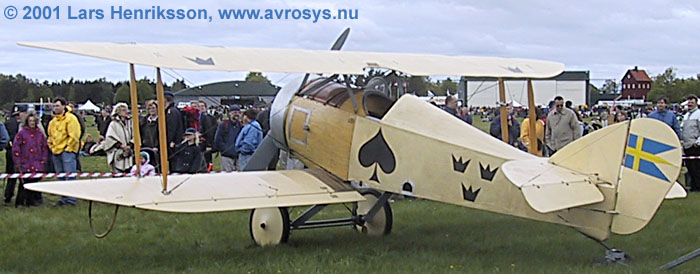 Swedish Army Aviation Display Group Four Aces (Fyra Ess), Tummelisa # 081 Ace of Spades (Spader Ess). Replica built and flown by Mikael Carlson