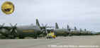 TP 84 Lockheed C-130 Hercules