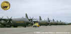 TP 84 Lockheed C-130 Hercules
