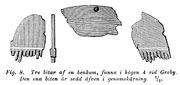 Pieces of comb of bone, earlier Iron Age. Greby, Sweden. - Tre bitar av benkam  frn Greby i Bohusln.  ldre jrnlder. - Size 1900 x 900 pixels.