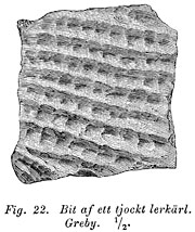 Piece of a thick earthenware vessel, earlier Iron Age. Greby, Sweden. - Bit av tjockt lerkrl frn Greby i Bohusln.  ldre jrnlder. Size 984 x 1170 pixels.