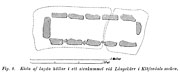 Ground plane of stone cist, Klvedal, Sweden. Bronze Age. - Size2600 x 1100 pixels.
