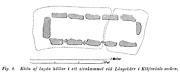 Ground plane of stone cist, Klvedal, Sweden. Bronze Age. - Size2600 x 1100 pixels.