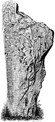 Rune Stone at Herrekvarn, municipality of Svenljunga , Sweden. Runsten vid Herrekvarn i Svenljunga
