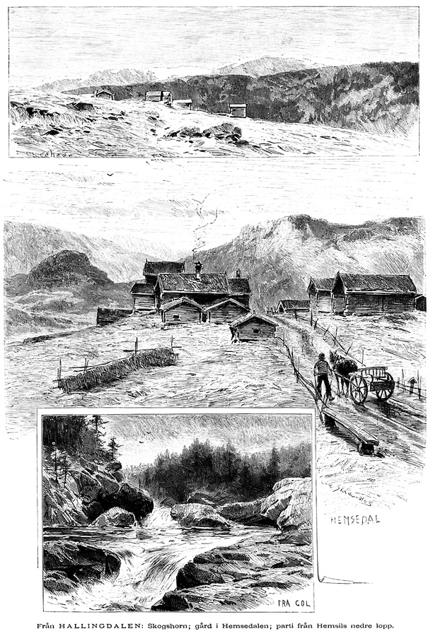 From Hallingdal: Skogshorn, Farm at Hemsedal and Part of River Hemsil at Gol, Norway. Artist: H. C. Olsen.