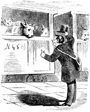 Near-sighted man and cattle at the railway. Sweden 19th century - Nrsynt man frgar efter snlltget till rebro. Sverige, sent 1800-tal. Size